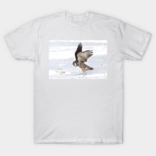 Northern Hawk-Owl T-Shirt